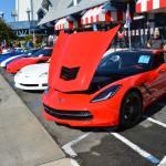 VetsandVettes_0028 (November 09, 2013)